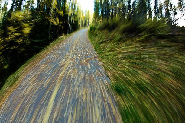 otoño ruta paseo en bicicleta - usa action adventure aspen tree fotografías e imágenes de stock