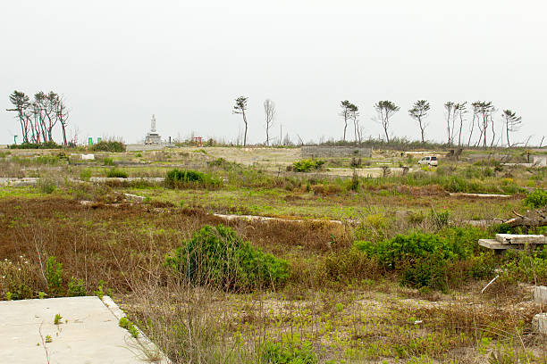 япония землетрясение, цунами 2011 arahama начальной школы - ishinomaki стоковые фото и изображения