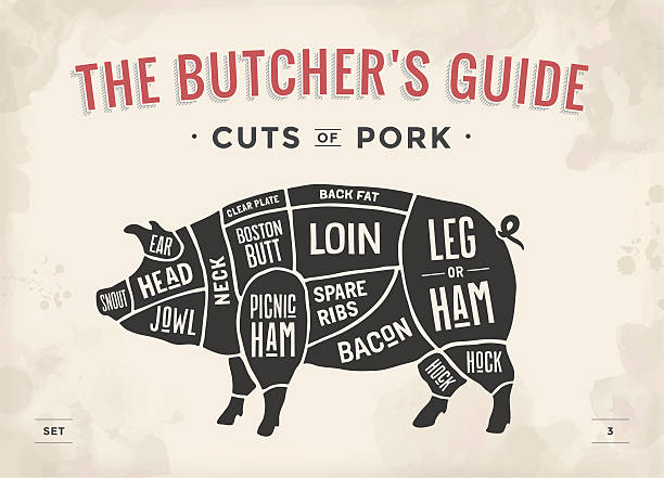 Cut of meat set. Poster Butcher diagram, scheme and guide Cut of meat set. Poster Butcher diagram, scheme and guide - Pork. Vintage typographic hand-drawn. Vector illustration pig stock illustrations