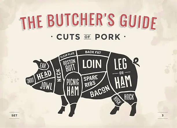 Vector illustration of Cut of meat set. Poster Butcher diagram, scheme and guide