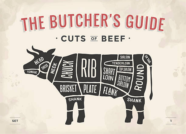 ilustraciones, imágenes clip art, dibujos animados e iconos de stock de cortar la carne de vacuno conjunto. cartel diagrama de carnicero y esquema - butcher meat butchers shop steak