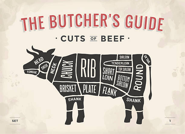 illustrazioni stock, clip art, cartoni animati e icone di tendenza di taglio di carne bovina impostare. poster responsabile di macelleria/pescheria diagramma e schema - butcher meat butchers shop steak