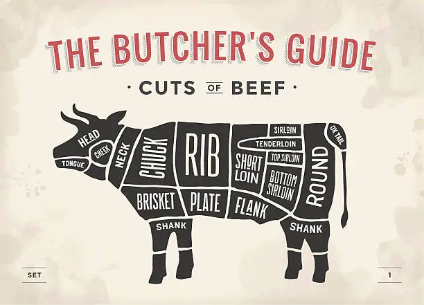Vector illustration of Cut of beef set. Poster Butcher diagram and scheme -