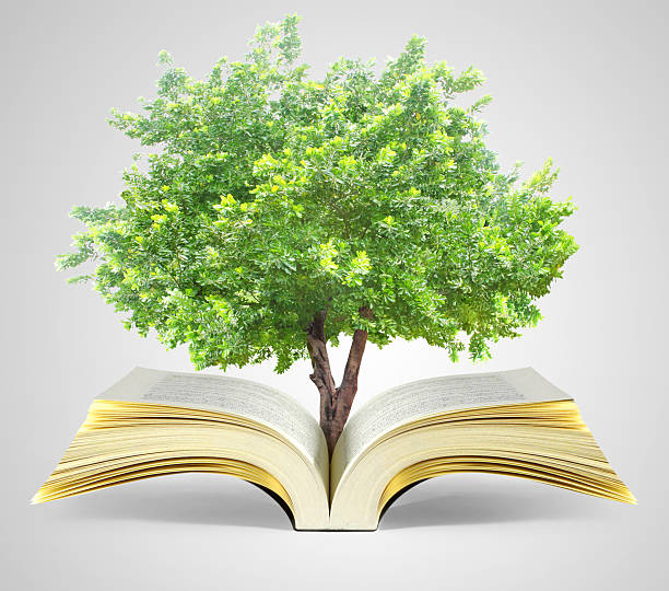 istock book of fantasy stories 513063972