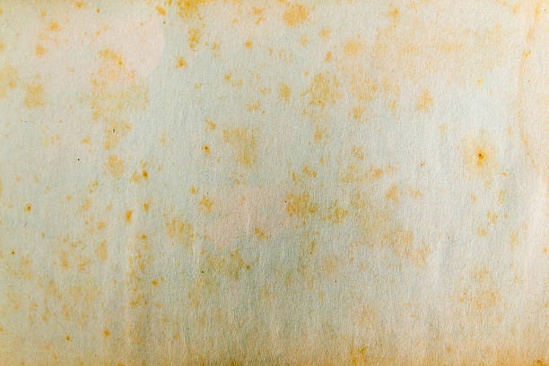 Brown paper. Vintage paper background