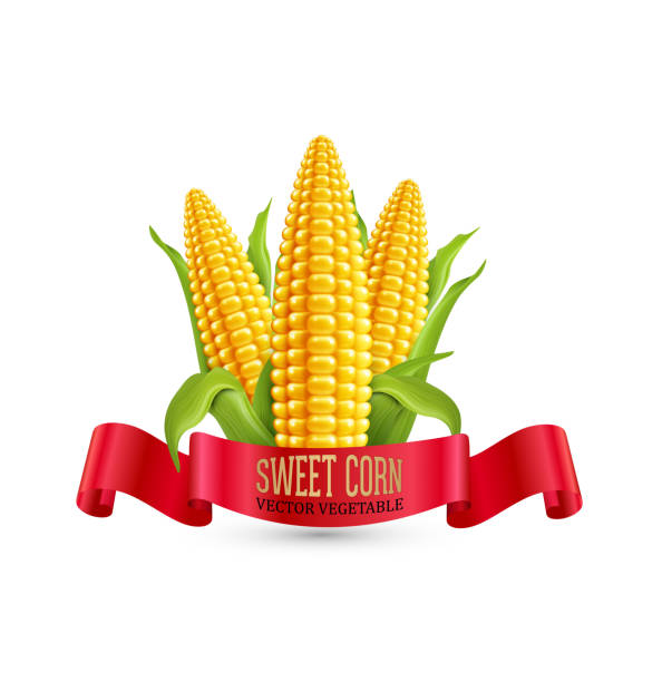 три ухо из кукуруза с листьями и красные ленты - плёнка stock illustrations