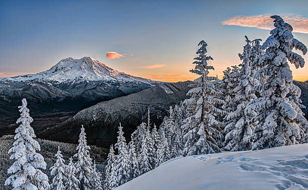 Sunrise on Snowy Mount Rainer in Cascade Mountains Snowshoe Tracks Suggest Adventure just as Sunrise Begins to Strike Mt. Rainier in Snowy Winter Mountain Scene. washington state photos stock pictures, royalty-free photos & images