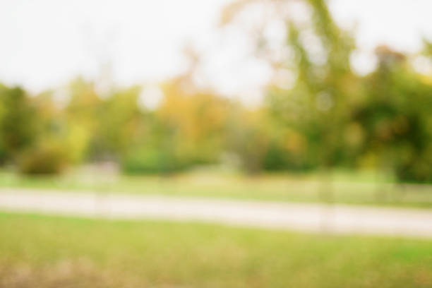 istock blurred bokeh background of autumn park 513070218