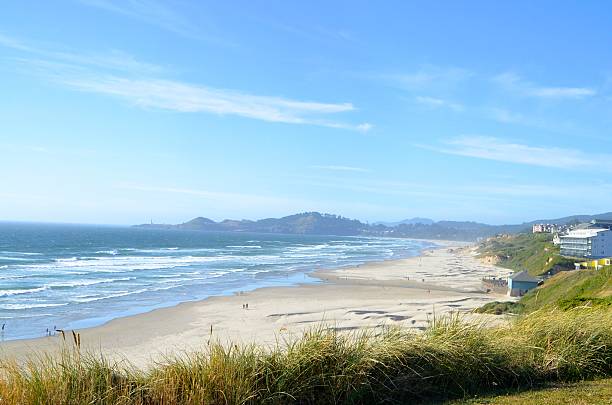 istock Beach in Newport, Oregon 513071421