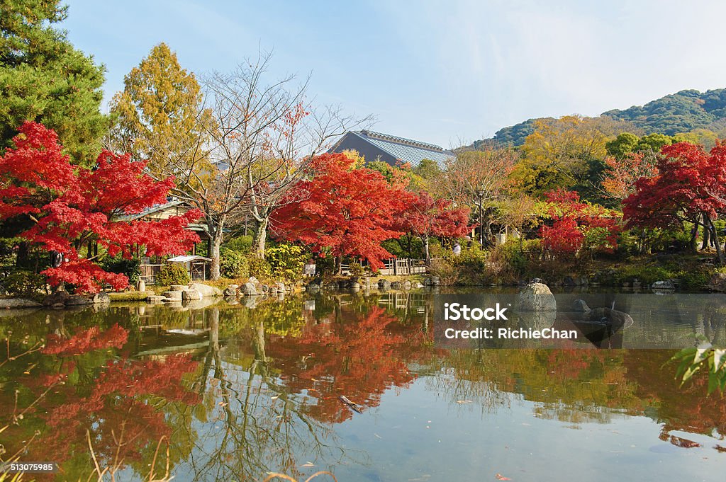 Japanese garden Japanese garden in Maruyama Park, Kyoto, Japan, with maple trees by a pond Maruyama Park - Kyoto Stock Photo