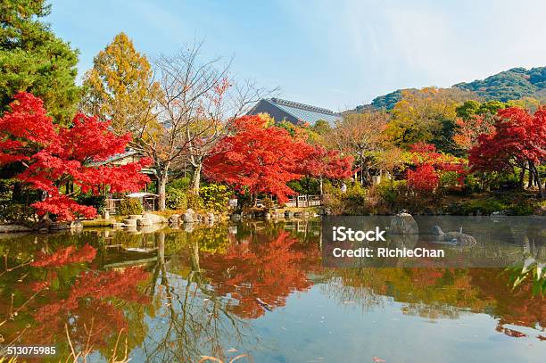 Japanese Garden Stock Photo - Download Image Now - Maruyama Park - Kyoto, Autumn, Autumn Leaf Color