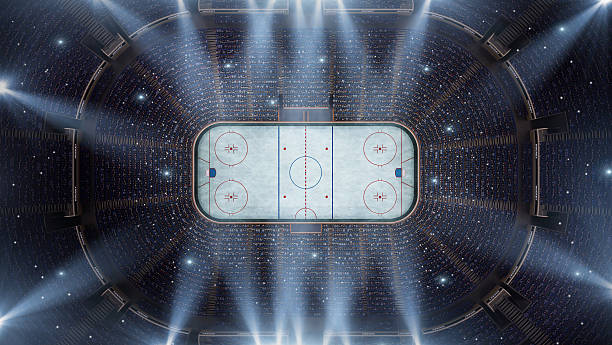 stadio di hockey arena di uccello occhio vista - hockey su ghiaccio foto e immagini stock