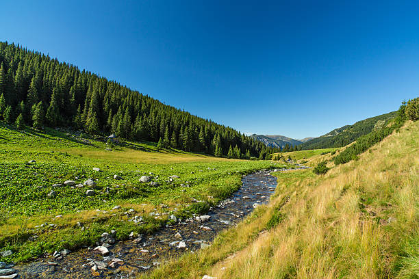 istock Pastoral scenery in the Alps 513100117