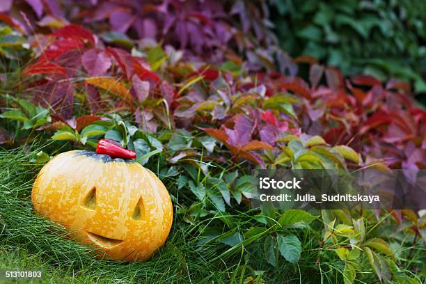 Halloween Pumpkin In Autumn Leaves With Copy Space For Text Stock Photo - Download Image Now