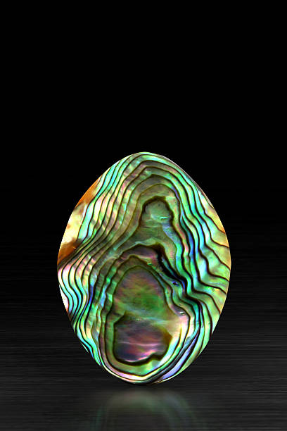 istock Mother of Pearl 513101849