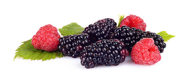 istock Assorted blackberries and raspberries isolated white background 513101917