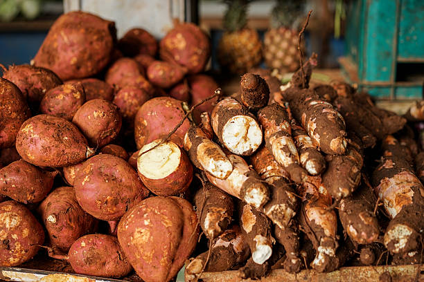 istock Vegetable market with yams 513102242