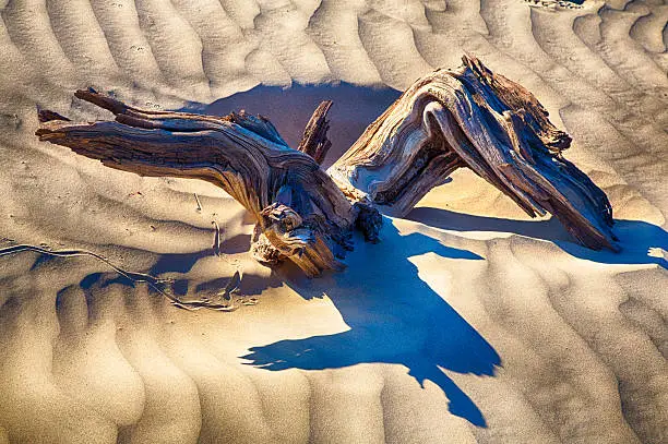 Photo of Death Valley Dunes