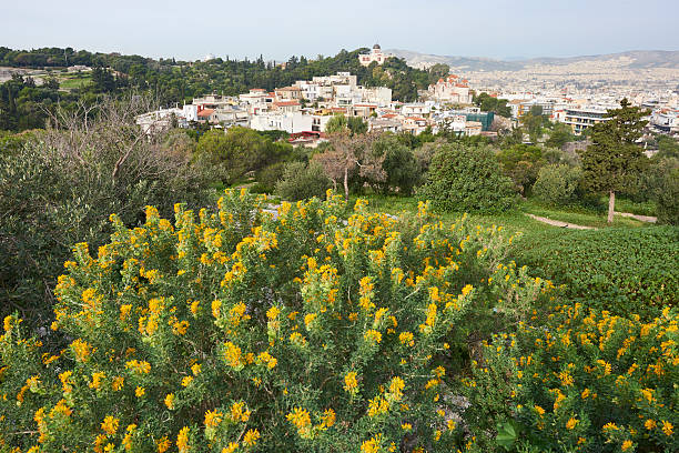 istock The City of Athens 513106496
