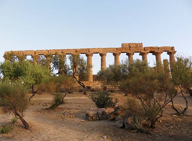 tempio di hera lacinia reklamy agrigento - civilta zdjęcia i obrazy z banku zdjęć