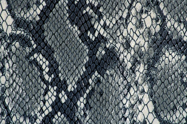 istock Grey fabric with snake print close-up 513108226