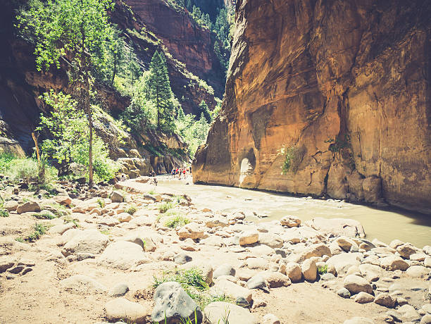 Zion National Park, Utah, USA