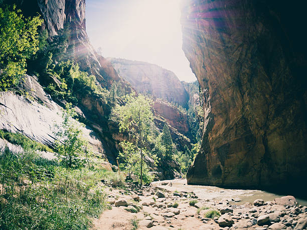 Zion National Park, Utah, USA