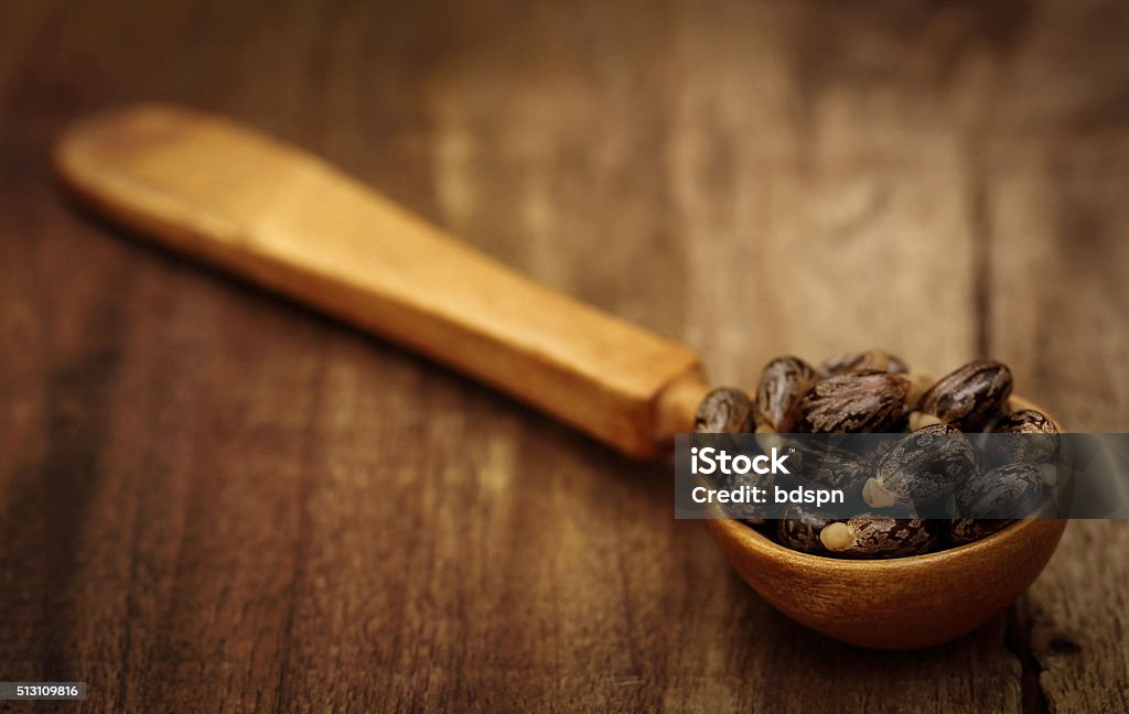 Castor beans Castor beans in a wooden spoon Agriculture Stock Photo