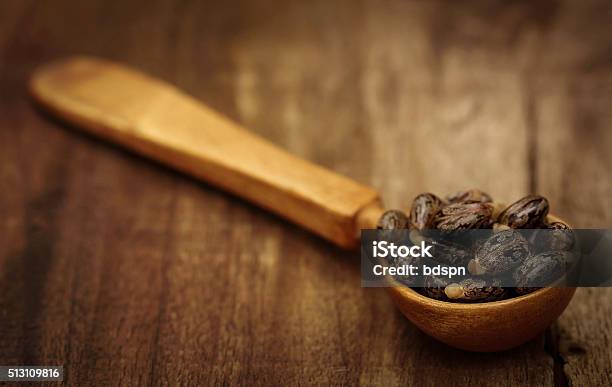 Castor Beans Stock Photo - Download Image Now - Agriculture, Ayurveda, Bean