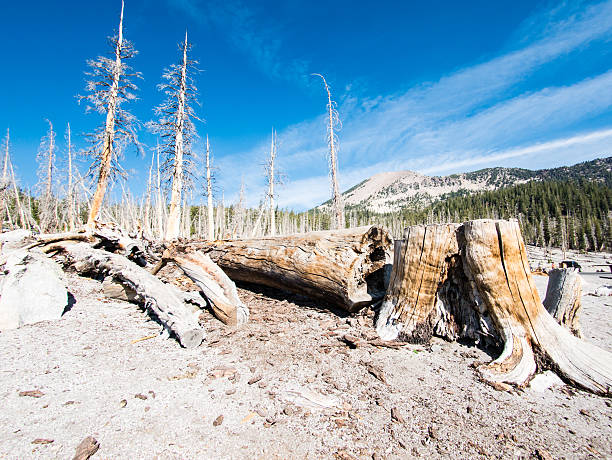 istock Mammoth Lakes in California, USA 513110230