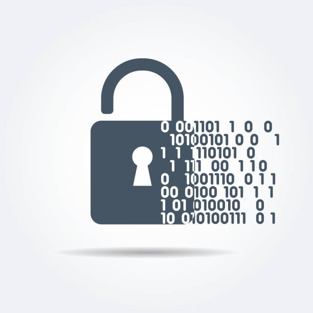 Digital security A vector illustration of a padlock with binary data code. Digital and online security concept. security graphics stock illustrations