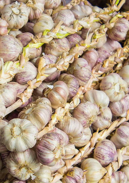 istock Heap of fresh whole garlic on stall as background 513113224