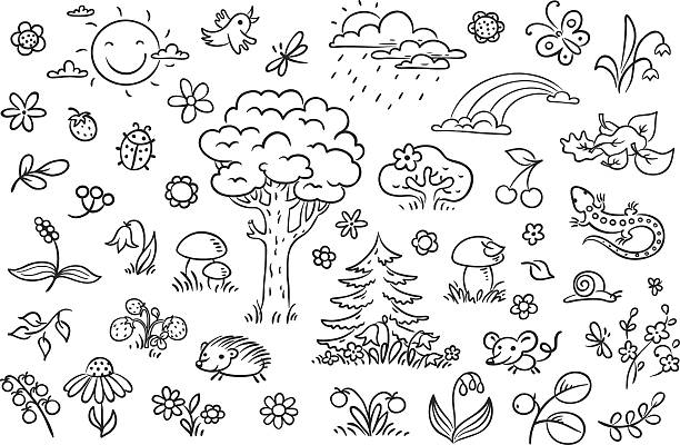 Cartoon nature set, black and white outline Cartoon nature set with trees, flowers, berries and small forest animals, black and white outline hedgehog animal mammal isolated stock illustrations