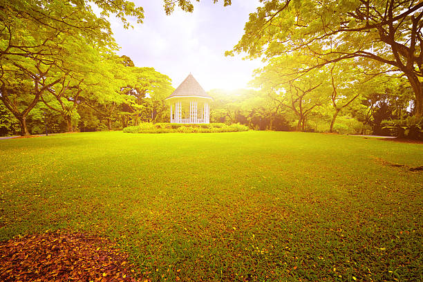 istock Beauty and Tranquil Garden 513114046