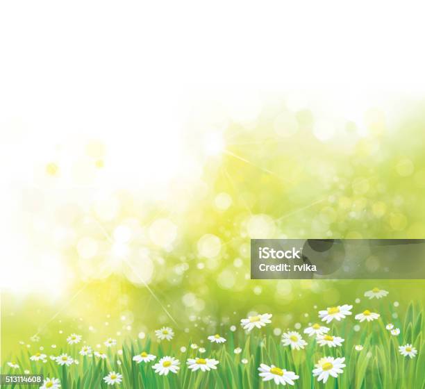 Vector Nature Background Stock Illustration - Download Image Now - Daisy, Backgrounds, Border - Frame