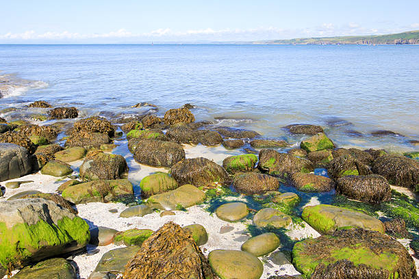 New Quay in Ceredigion, Wales Rocky beach in New Quay in Cardigan Bay cardigan wales stock pictures, royalty-free photos & images