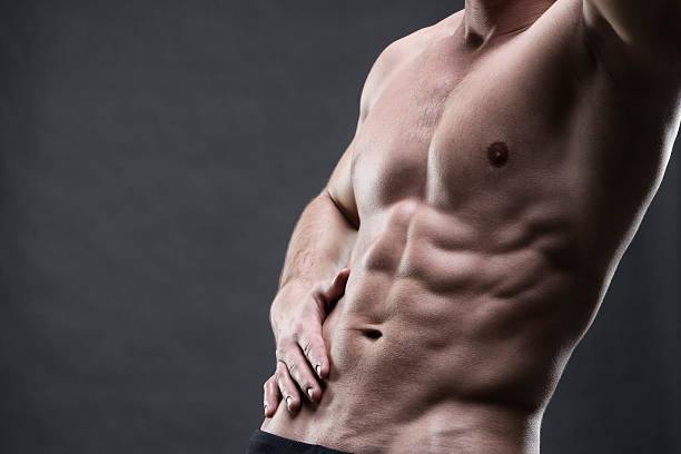 beau musculaire bodybuilder posant sur fond gris - abdominal muscle muscular build men torso photos et images de collection