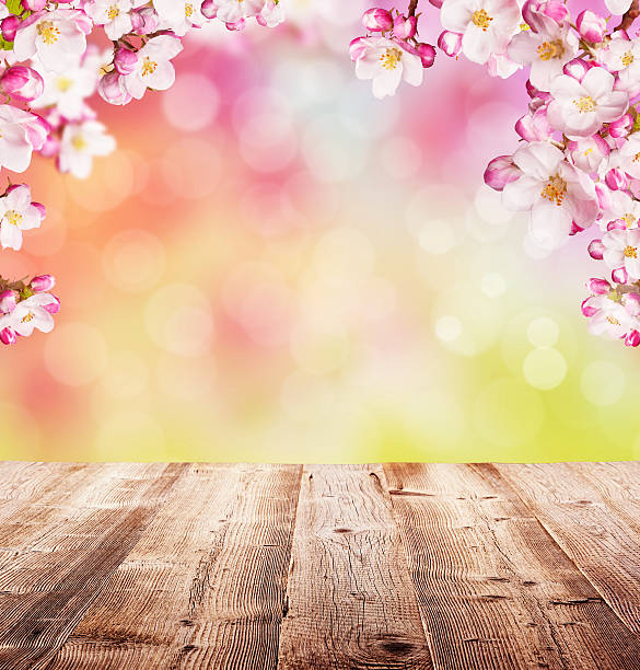 istock Cherry blossoms with empty wooden planks 513117350