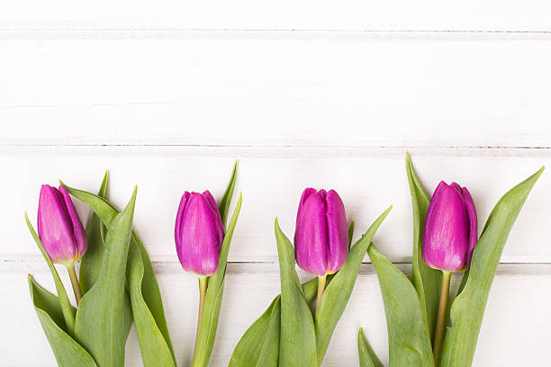 istock tulip bouquet on white wooden background 513119892