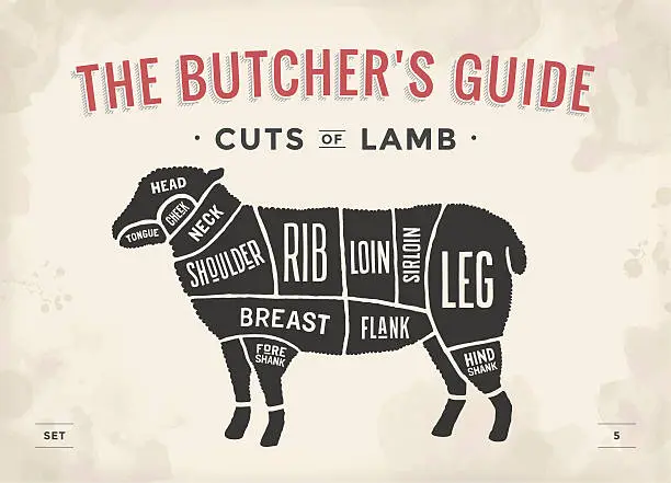 Vector illustration of Cut of beef set. Poster Butcher diagram and scheme -