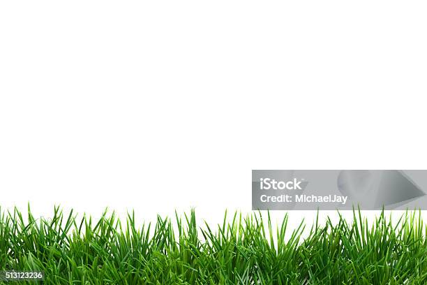 Easter Grass Border Isolated On White Stock Photo - Download Image Now - Grass, Border - Frame, Cut Out