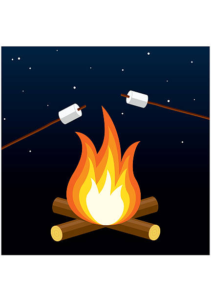 ilustrações, clipart, desenhos animados e ícones de fogueira com marshmallow. grelha de acampar. fogueira ao ar livre à noite. - roasted