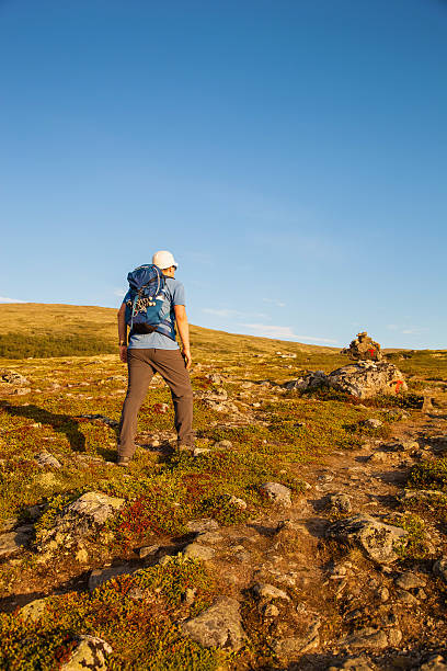 istock hiker with backpack traveling in Norway mountains Dovre 513124674