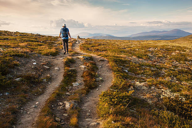 istock hiker with backpack traveling in Norway mountains Dovre 513126604