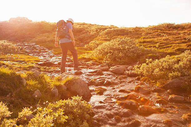 istock hiker with backpack traveling in Norway mountains Dovre 513126888