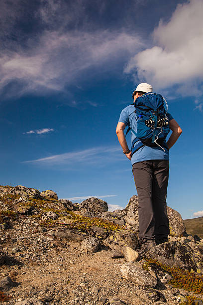 istock hiker with backpack traveling in Norway mountains Dovre 513127018