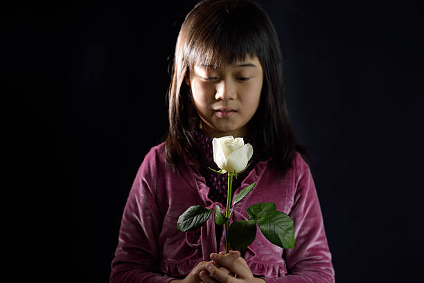 rapariga um segurar num rosa branca - funeral family sadness depression imagens e fotografias de stock