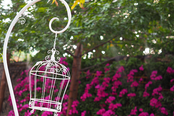 istock White bird cage in garden 513130580