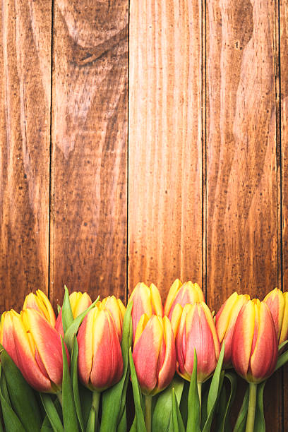 istock colorful tulips bouquet 513131784