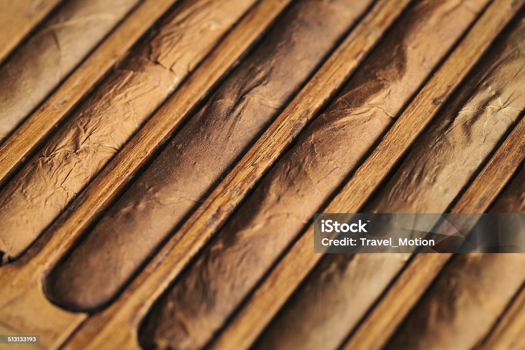 Hand rolled Cuban cigars drying Arrangement Stock Photo